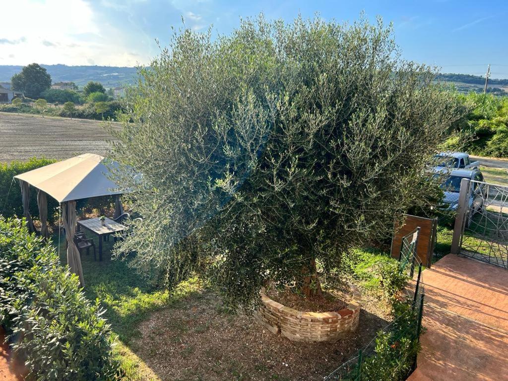 Apartamento Lu Prete Campofilone Exterior foto